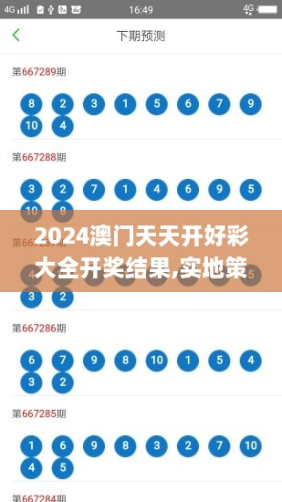 2024澳门天天开好彩大全开奖结果,实地策略评估数据_pack17.124