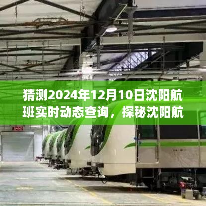 探秘沈阳航班实时动态，小巷深处的特色航空之旅，预测2024年航班动态查询