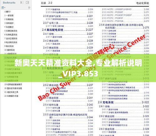新奥天天精准资料大全,专业解析说明_VIP3.853