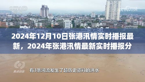 2024年张港汛情最新实时播报与分析，多方观点解读及个人立场阐述