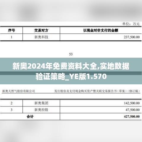 新奥2024年免费资料大全,实地数据验证策略_YE版1.570