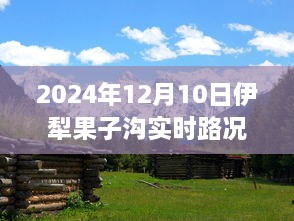 伊犁果子沟实时路况电话，记录历史时刻的桥梁，最新路况查询（日期，XXXX年XX月XX日）