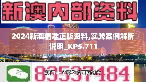 2024新澳精准正版资料,实践案例解析说明_KP5.711