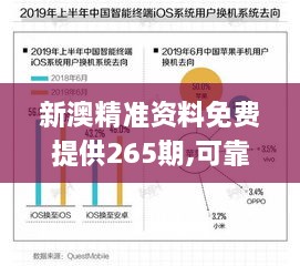 新澳精准资料免费提供265期,可靠数据解释定义_PalmOS9.146