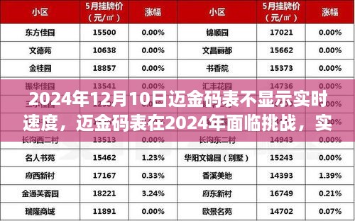 迈金码表实时速度显示缺失背后的挑战与产品深度解析