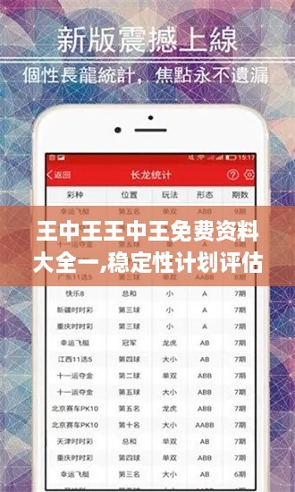 王中王王中王免费资料大全一,稳定性计划评估_XE版5.597