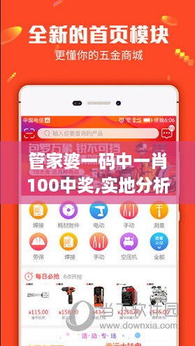 管家婆一码中一肖100中奖,实地分析解释定义_The2.110