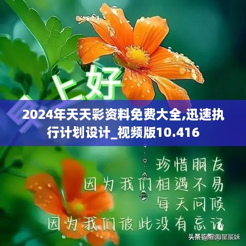 2024年天天彩资料免费大全,迅速执行计划设计_视频版10.416