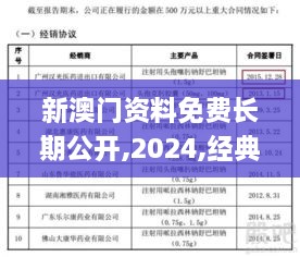 新澳门资料免费长期公开,2024,经典解析说明_精简版9.876