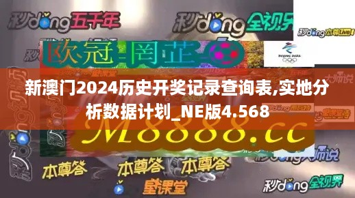 新澳门2024历史开奖记录查询表,实地分析数据计划_NE版4.568