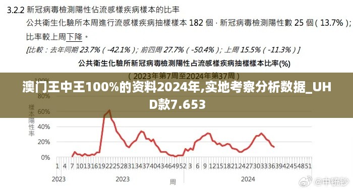 澳门王中王100%的资料2024年,实地考察分析数据_UHD款7.653