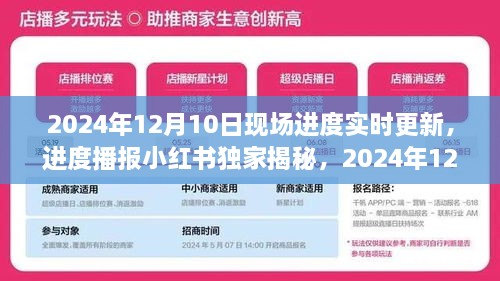 独家揭秘！2024年12月10日现场进度实时更新与精彩瞬间回顾