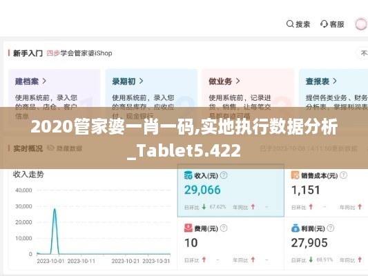 2020管家婆一肖一码,实地执行数据分析_Tablet5.422