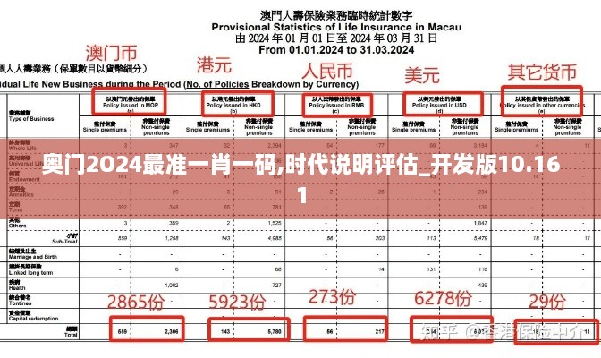 奥门2O24最准一肖一码,时代说明评估_开发版10.161