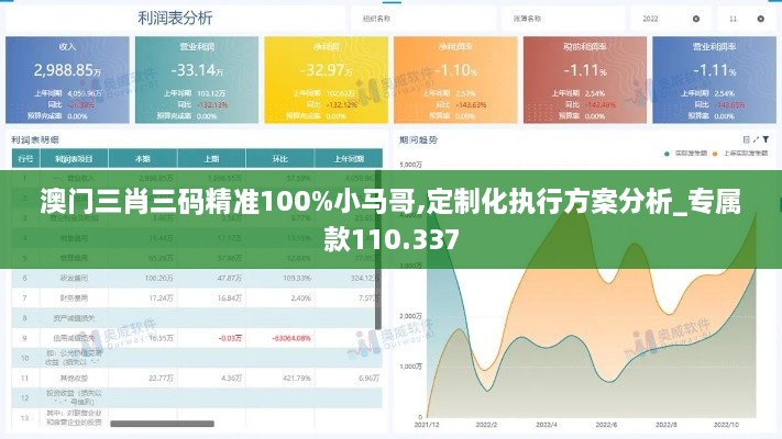 澳门三肖三码精准100%小马哥,定制化执行方案分析_专属款110.337