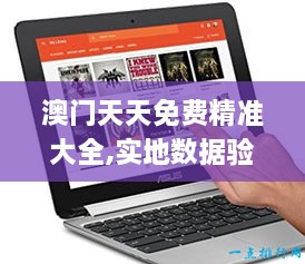 澳门天天免费精准大全,实地数据验证策略_Chromebook7.868