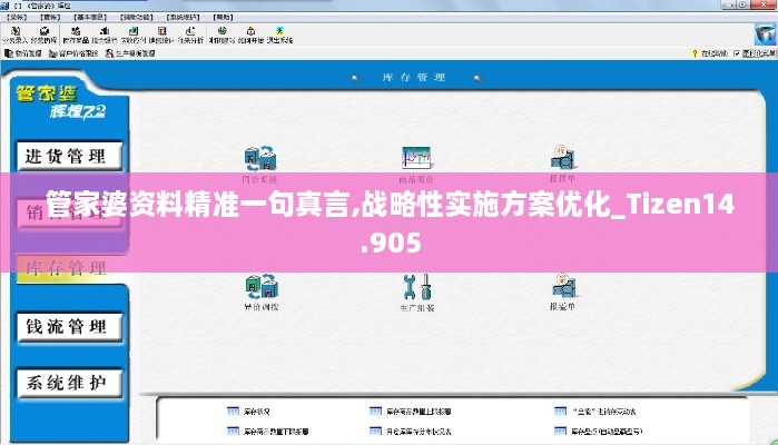 管家婆资料精准一句真言,战略性实施方案优化_Tizen14.905