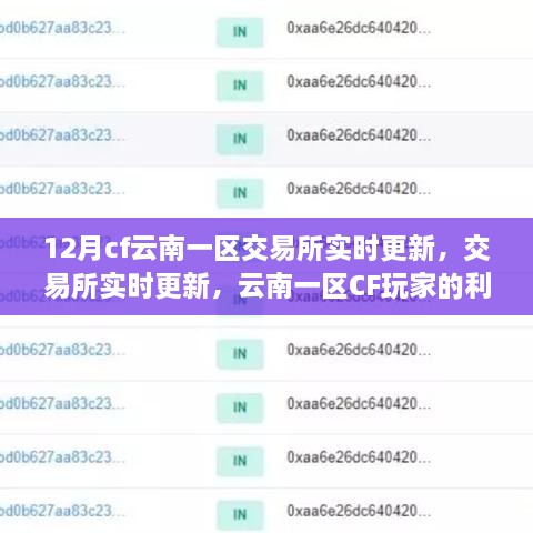 云南一区CF交易所实时更新，玩家的利益与挑战