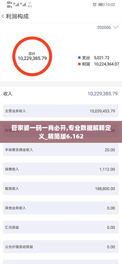 管家婆一码一肖必开,专业数据解释定义_精简版6.162