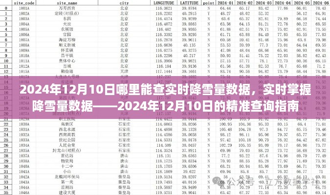 2024年12月10日降雪量实时查询指南，精准掌握降雪数据