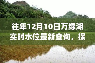 探秘万绿湖畔宝藏小店与实时水位新风尚，12月10日最新水位查询