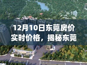 12月10日东莞房价实时报告，揭秘最新动态，聚焦实时价格