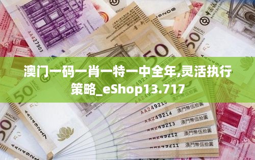 澳门一码一肖一特一中全年,灵活执行策略_eShop13.717