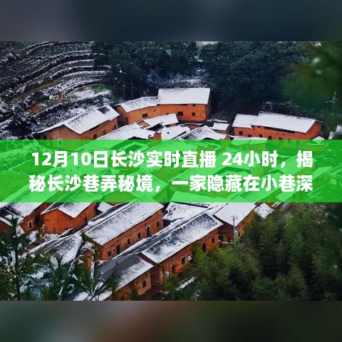 揭秘长沙巷弄秘境，不打烊特色小店的直播狂欢，带你领略长沙24小时魅力