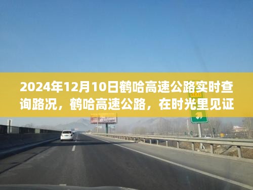 鹤哈高速公路实时路况查询，见证速度与时代的交响乐章（XXXX年XX月XX日）