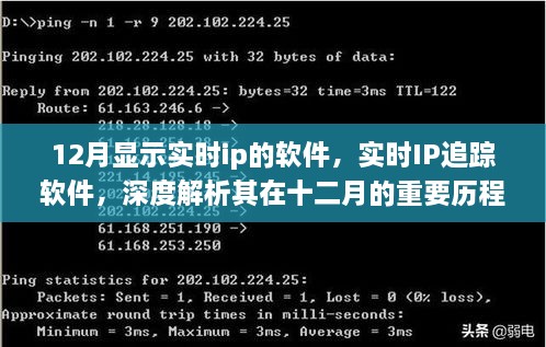 实时IP追踪软件深度解析，十二月的重要历程与地位
