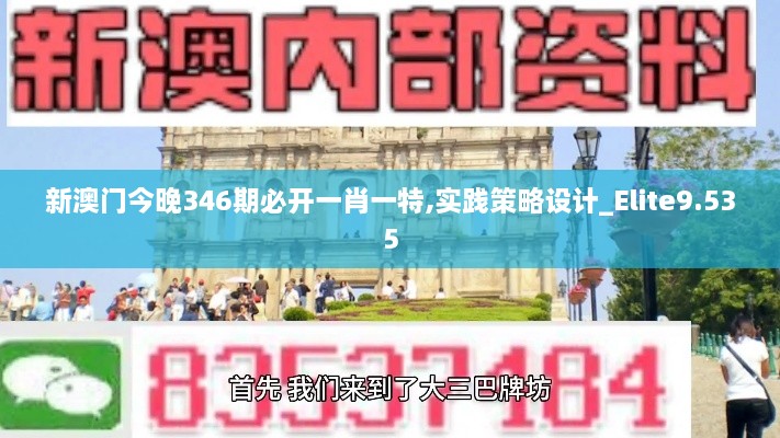 新澳门今晚346期必开一肖一特,实践策略设计_Elite9.535