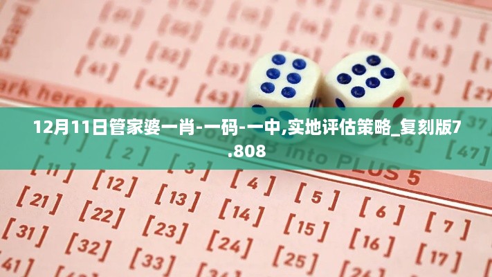 12月11日管家婆一肖-一码-一中,实地评估策略_复刻版7.808