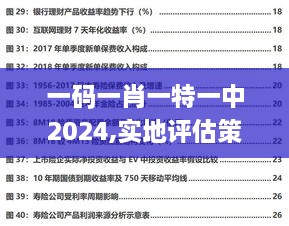 一码一肖一特一中2024,实地评估策略_挑战款13.225