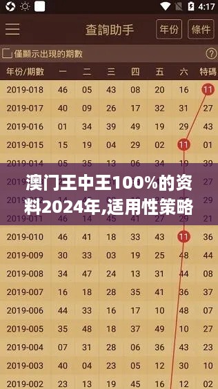 澳门王中王100%的资料2024年,适用性策略设计_3DM3.743