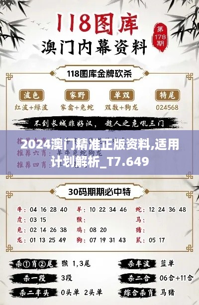 2024澳门精准正版资料,适用计划解析_T7.649