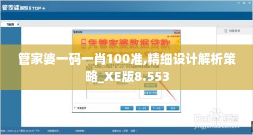 管家婆一码一肖100准,精细设计解析策略_XE版8.553