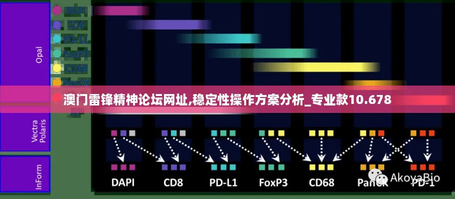 澳门雷锋精神论坛网址,稳定性操作方案分析_专业款10.678