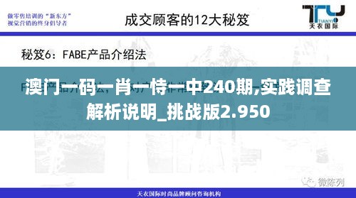 澳门一码一肖一恃一中240期,实践调查解析说明_挑战版2.950