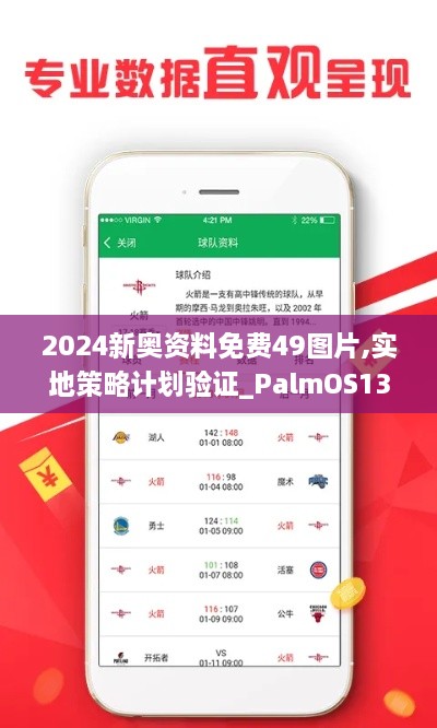 2024新奥资料免费49图片,实地策略计划验证_PalmOS13.970