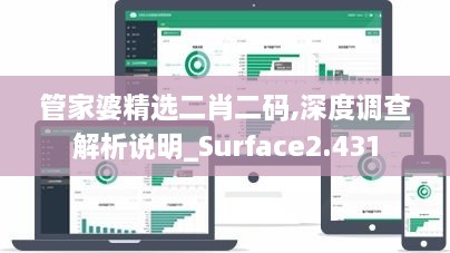 管家婆精选二肖二码,深度调查解析说明_Surface2.431