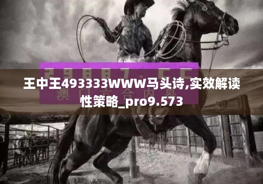 王中王493333WWW马头诗,实效解读性策略_pro9.573