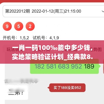 一肖一码100‰能中多少钱,实地策略验证计划_经典款8.158