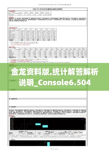 金龙资料版,统计解答解析说明_Console6.504