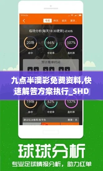 九点半澳彩免费资料,快速解答方案执行_SHD5.898