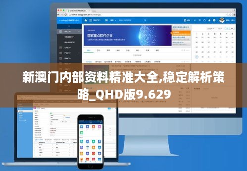 新澳门内部资料精准大全,稳定解析策略_QHD版9.629