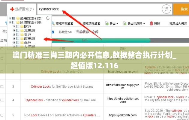 澳门精准三肖三期内必开信息,数据整合执行计划_超值版12.116