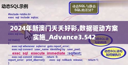 2024年新澳门夭夭好彩,数据驱动方案实施_Advance3.542