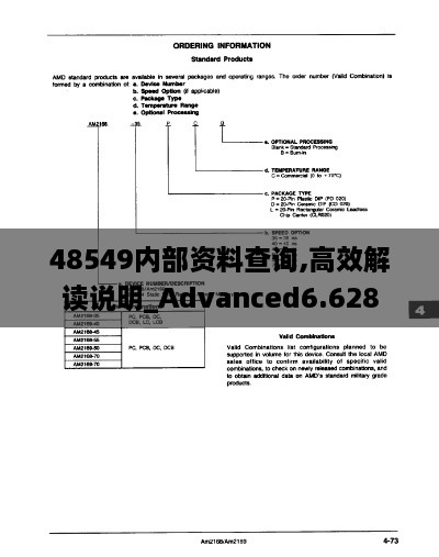 48549内部资料查询,高效解读说明_Advanced6.628