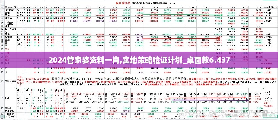 2024管家婆资料一肖,实地策略验证计划_桌面款6.437