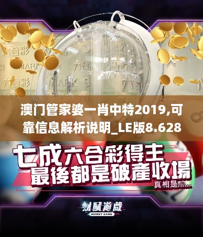 澳门管家婆一肖中特2019,可靠信息解析说明_LE版8.628